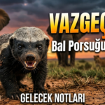 VAZGEÇME! | Dünyaya Meydan Okuyan Küçük Savaşçı: Bal Porsuğu